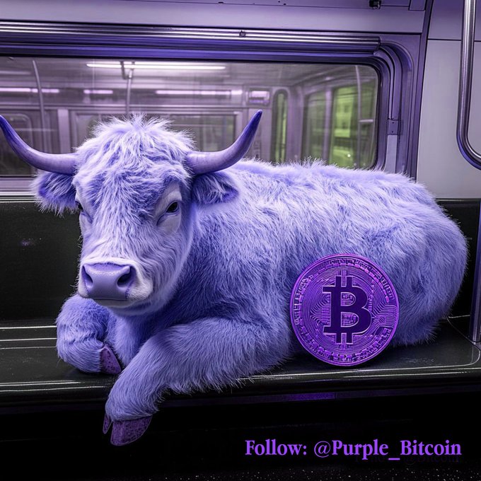 btc tweet4 - PURPLE BITCOIN