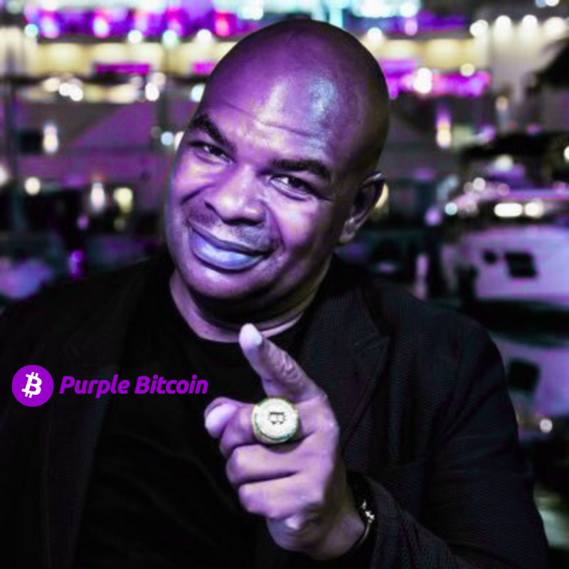 Davinci Jermaine- Purple Bitcoin meme