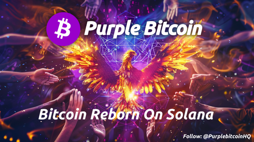 purple bitcoin rebord on solana